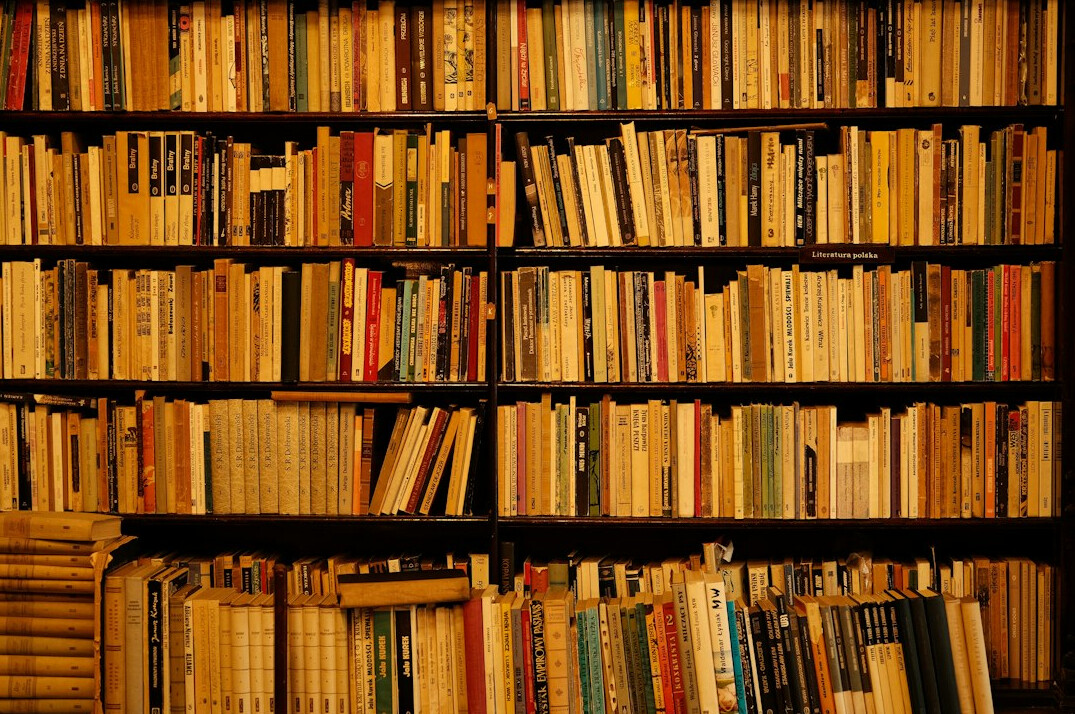 bookshelf with novels